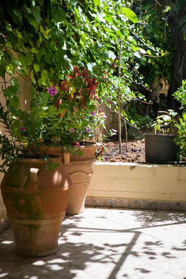 לאסי Tzivras Villa & Apartments מראה חיצוני תמונה